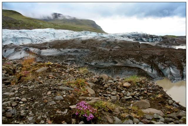 islande skatfatell iceberg 15 (Small).jpg